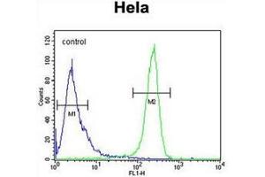 Flow Cytometry (FACS) image for anti-Denticleless E3 Ubiquitin Protein Ligase Homolog (DTL) (AA 229-256), (Middle Region) antibody (ABIN951451)
