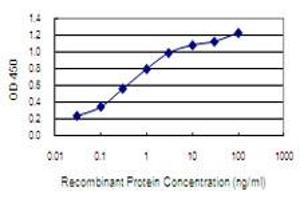 Detection limit for recombinant GST tagged NARG1 is 0. (NAA15 抗体  (AA 764-862))