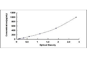 Typical standard curve (IL-18 ELISA 试剂盒)