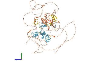 Protein Structure (PS) image for PR Domain Containing 4 (PRDM4) (AA 1-801) protein (His tag) (ABIN7550984)
