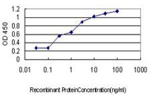 Detection limit for recombinant GST tagged SH3BP5 is approximately 0. (SH3BP5 抗体  (AA 4-112))