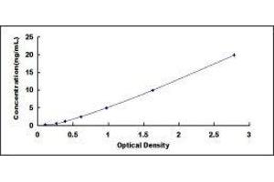 ELISA image for Insulin Receptor Substrate 1 (IRS1) ELISA Kit (ABIN418238)