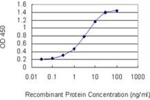 Detection limit for recombinant GST tagged STAT2 is 0. (STAT2 抗体  (AA 742-851))