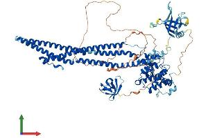 Protein Structure (PS) image for rho GTPase Activating Protein 10 (ARHGAP10) (AA 1-786) protein (His tag) (ABIN7564156)