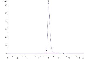 Size-exclusion chromatography-High Pressure Liquid Chromatography (SEC-HPLC) image for Folate Receptor 1 (Adult) (FOLR1) (AA 25-233) protein (His-Avi Tag) (ABIN7274667)