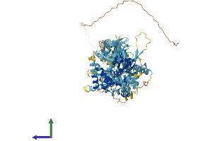 Protein Structure (PS) image for Minichromosome Maintenance Deficient 8 (MCM8) (AA 1-840) protein (His tag) (ABIN7554527)