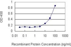 Detection limit for recombinant GST tagged CAT is 1 ng/ml as a capture antibody. (Catalase 抗体  (AA 1-100))