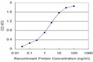Detection limit for recombinant GST tagged USP9X is approximately 0. (USP9X 抗体  (AA 1-90))
