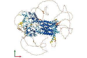 Protein Structure (PS) image for Dispatched Homolog 1 (DISP1) (AA 1-1521) protein (His tag) (ABIN7563664)