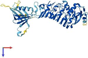 Protein Structure (PS) image for Leucine Rich Repeat Protein 1 (LRR1) (AA 1-414) protein (His tag) (ABIN7549064)