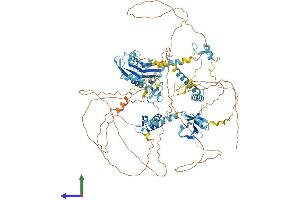 Protein Structure (PS) image for RNA Binding Motif Protein 10 (RBM10) (AA 1-930) protein (His tag) (ABIN7564887)