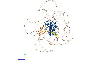 Protein Structure (PS) image for Suppressor of Variegation 4-20 Homolog 1 (SUV420H1) (AA 1-885) protein (His tag) (ABIN7554334)