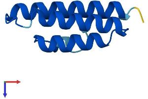AlphaFold protein structure predicition of Mouse Recombinant Lyrm9 Protein, UniprotID Q3UN90