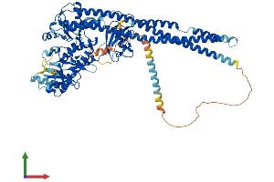 AlphaFold protein structure predicition of Mouse Recombinant Ikbkb Protein, UniprotID O88351