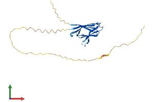 Protein Structure (PS) image for Nucleophosmin/nucleoplasmin 2 (NPM2) (AA 1-207) protein (His tag) (ABIN7558384)