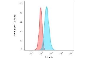 Flow Cytometric Analysis of HeLa cells using Cytokeratin 13 Mouse Monoclonal Antibody (KRT13/2213) followed by Goat anti-Mouse IgG-CF488 (Blue); Isotype Control (Red). (Cytokeratin 13 抗体)