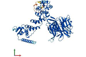 Protein Structure (PS) image for Kelch-like protein 41 (KLHL41) (AA 1-606) protein (His tag) (ABIN7548959)