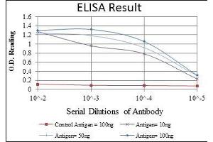 Red: Control Antigen (100 ng), Purple: Antigen (10 ng), Green: Antigen (50 ng), Blue: Antigen (100 ng),