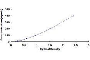 ELISA image for Superoxide Dismutase 3, Extracellular (SOD3) ELISA Kit (ABIN416451)