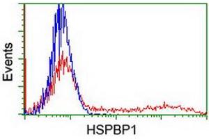 HEK293T cells transfected with either RC201814 overexpress plasmid (Red) or empty vector control plasmid (Blue) were immunostained by anti-HSPBP1 antibody (ABIN2454876), and then analyzed by flow cytometry. (HSPBP1 抗体)