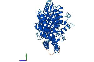 Protein Structure (PS) image for Tubulin, delta 1 (TUBD1) (AA 1-455) protein (His tag) (ABIN7556217)