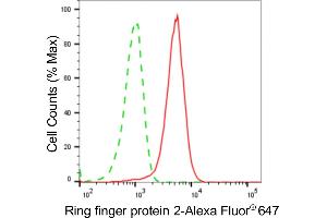Flow cytometric analysis of Ring finger protein 2 expression in HeLa cells using Ring finger protein 2 antibody (ABIN7800244), 1:2,000). (Recombinant RNF2 抗体)