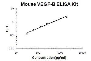 Mouse VEGF-B PicoKine ELISA Kit standard curve (VEGFB ELISA 试剂盒)