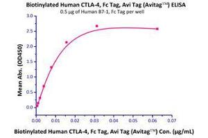 Binding Studies (Bind) image for Cytotoxic T-Lymphocyte-Associated Protein 4 (CTLA4) (AA 37-162) (Active) protein (Fc Tag,AVI tag,Biotin) (ABIN2870534)
