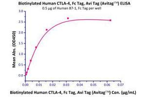 Immobilized Human B7-1, Fc Tag (Cat# B71-H5259) at 5 μg/mL (100 µl/well),can bind Biotinylated Human CTLA-4, Fc tag (Cat# CT4-H82F3) with a linear range of 0. (CTLA4 Protein (AA 37-162) (Fc Tag,AVI tag,Biotin))