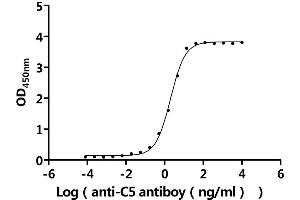Measured by its binding ability in a functional ELISA.