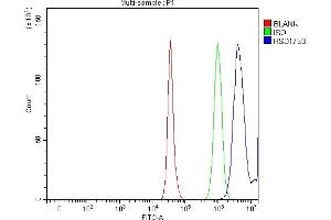 Flow Cytometry analysis of HepG2 cells using anti-HSD17B3 antibody (ABIN7603060). (HSD17B3 抗体  (Middle Region))