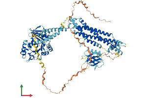 AlphaFold protein structure predicition of Mouse Recombinant Dnm3 Protein, UniprotID Q8BZ98