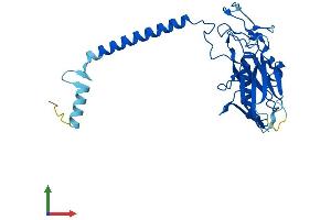 Protein Structure (PS) image for ATPase, H+/K+ Exchanging, beta Polypeptide (ATP4b) (AA 1-291) protein (His tag) (ABIN7552404)