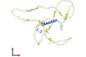 Protein Structure (PS) image for Cyclin-Dependent Kinase Inhibitor 1C (p57, Kip2) (CDKN1C) (AA 1-348) protein (His tag) (ABIN7563350)