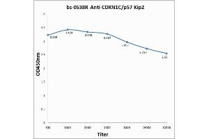 Antigen: 0. (CDKN1C 抗体  (AA 291-343))