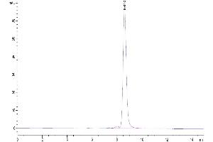 Size-exclusion chromatography-High Pressure Liquid Chromatography (SEC-HPLC) image for CD70 Molecule (CD70) (AA 50-193), (Trimer) protein (His tag) (ABIN7274322)
