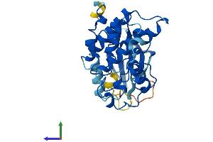 Protein Structure (PS) image for Cyclin-Dependent Kinase 1 (CDK1) (AA 1-297) protein (His tag) (ABIN7562839)