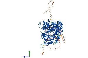 Protein Structure (PS) image for DIS3-Like Exonuclease 2 (DIS3L2) (AA 1-870) protein (His tag) (ABIN7564589)