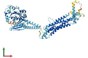Protein Structure (PS) image for Myxovirus Resistance Protein 1 (MX1) (AA 1-631) protein (His tag) (ABIN7562782)
