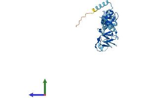 AlphaFold protein structure predicition of Mouse Recombinant Lims2 Protein, UniprotID Q91XD2