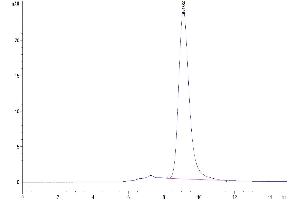 Size-exclusion chromatography-High Pressure Liquid Chromatography (SEC-HPLC) image for CD33 (CD33) (AA 18-259) protein (His-Avi Tag) (ABIN7274159)