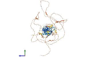 AlphaFold protein structure predicition of Human Recombinant MAPK8IP1 Protein, UniprotID Q9UQF2