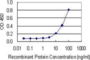 Detection limit for recombinant GST tagged SHBG is 1 ng/ml as a capture antibody. (SHBG 抗体  (AA 41-140))