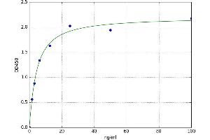 A typical standard curve (Fascin 2 ELISA 试剂盒)