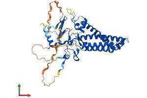 AlphaFold protein structure predicition of Human Recombinant ZDHHC18 Protein, UniprotID Q9NUE0
