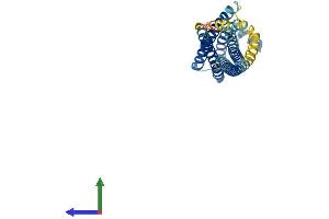 Protein Structure (PS) image for Syntaxin 1B (STX1B) (AA 1-288) protein (His tag) (ABIN7546402)