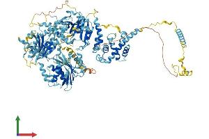 Protein Structure (PS) image for N-Acetyltransferase 10 (GCN5-Related) (NAT10) (AA 1-1025) protein (His tag) (ABIN7554688)
