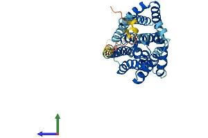 Protein Structure (PS) image for Solute Carrier Family 10 (Sodium/bile Acid Cotransporter Family), Member 2 (SLC10A2) (AA 1-348) protein (His tag) (ABIN7556665)