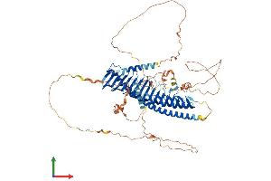 Protein Structure (PS) image for Junctophilin 2 (JPH2) (AA 1-696) protein (His tag) (ABIN7554278)