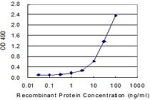 Sandwich ELISA detection sensitivity ranging from 1 ng/mL to 100 ng/mL. (CALD1 (人) Matched Antibody Pair)